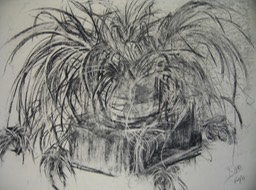 5. Leafy plant gesture from observation