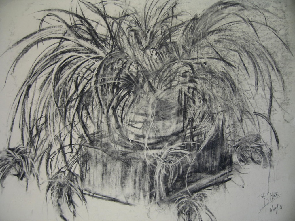 5. Leafy plant gesture from observation